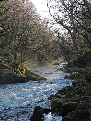 472 MISTY RIVER 2.jpg
